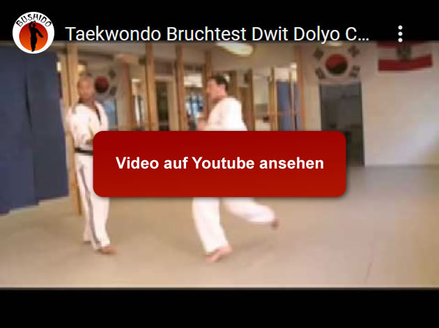 Taekwondo Bruchtest