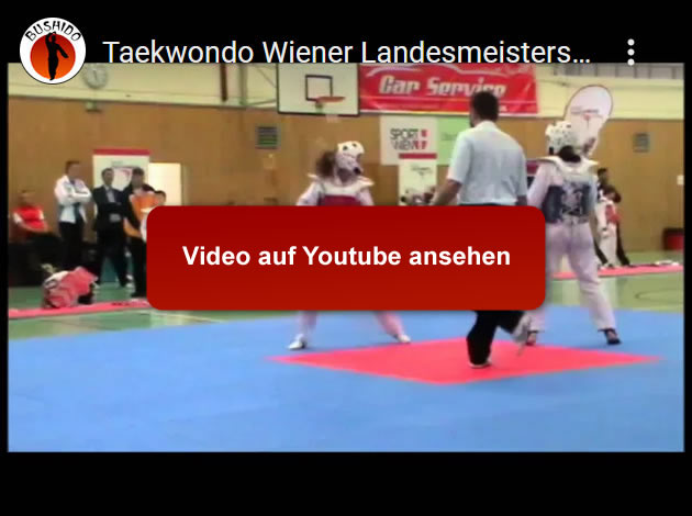 Taekwondo