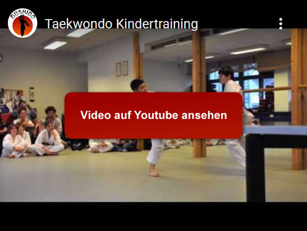 Taekwondo