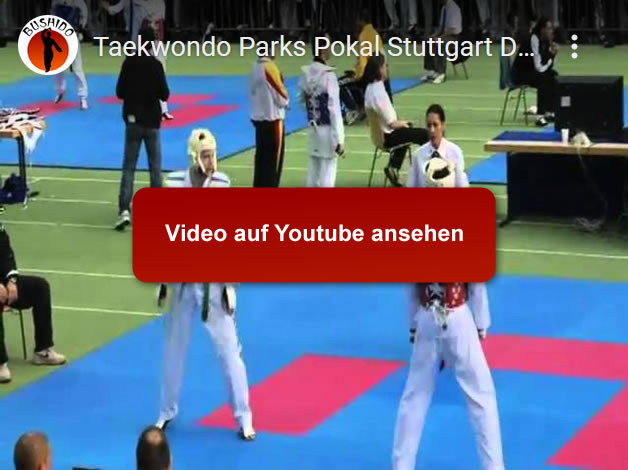 Taekwondo
