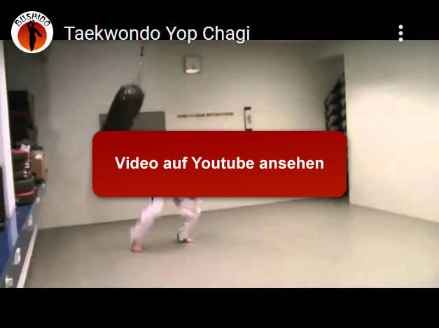 Taekwondo Techniken