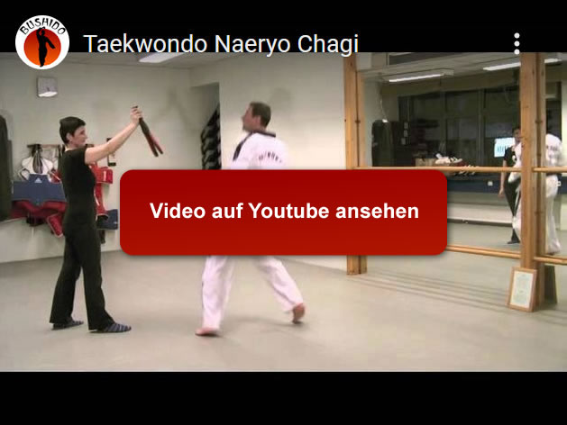 Taekwondo Techniken